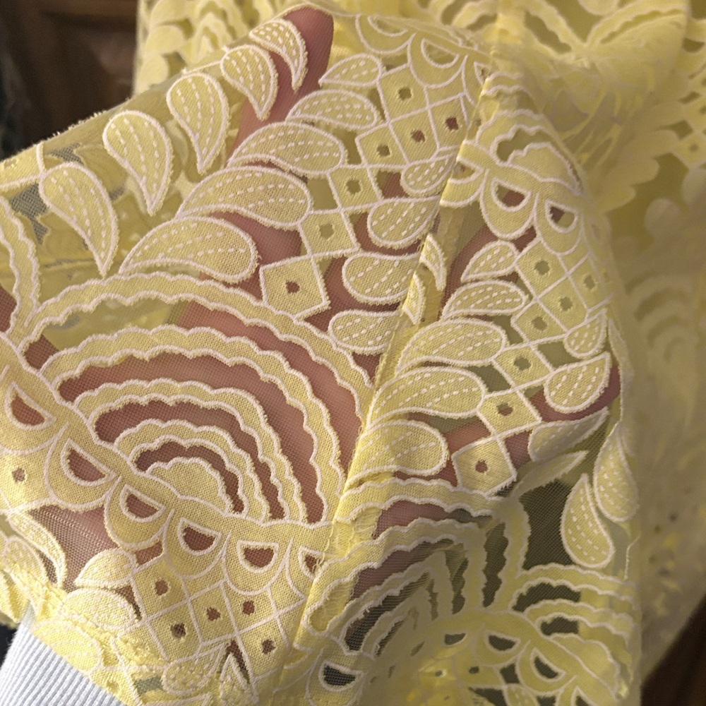 Rabbit Rabbit Rabbit Sunny Yellow Lace Dress - Picture 8 of 8